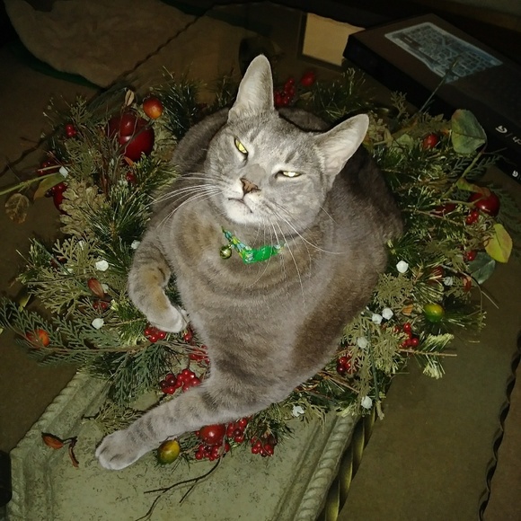 Meet your Posher, Joanna - Picture 11 of 11